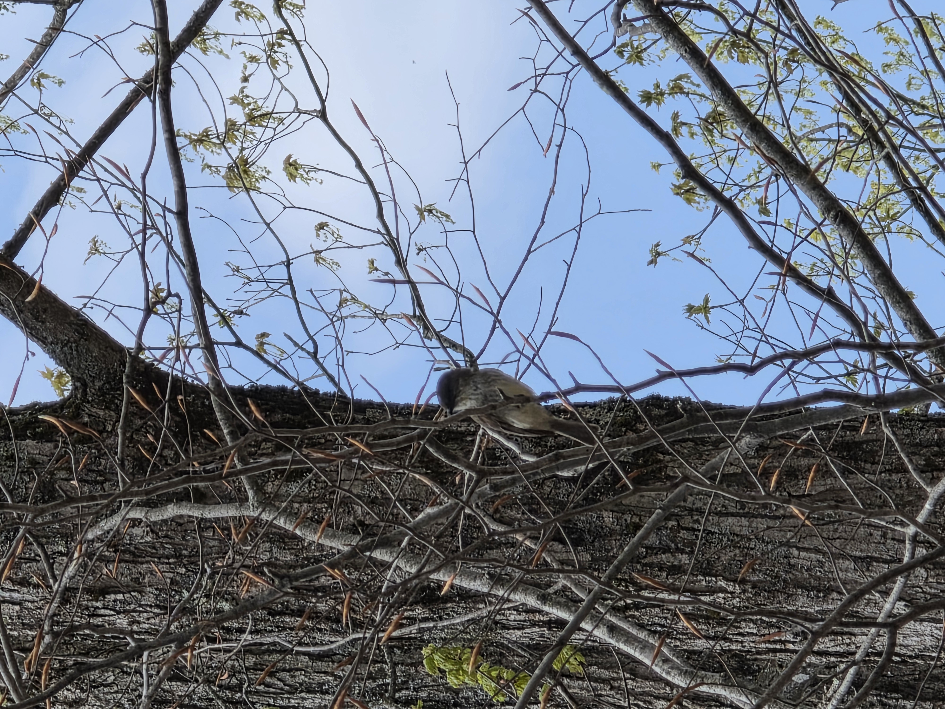 Field Witness