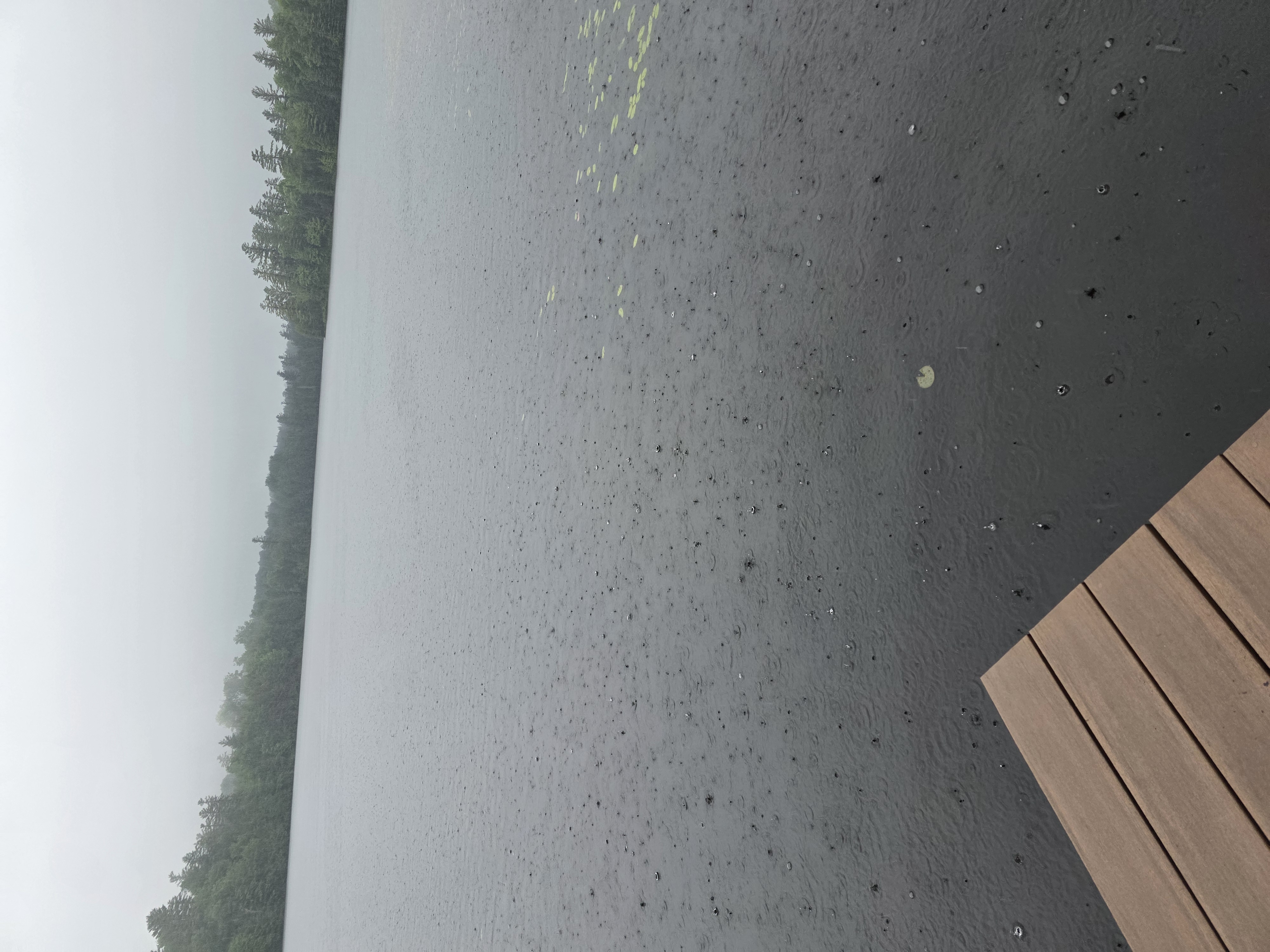 Rain on the pond during the June 14 test. The weather condition is part of the record, not background scenery.