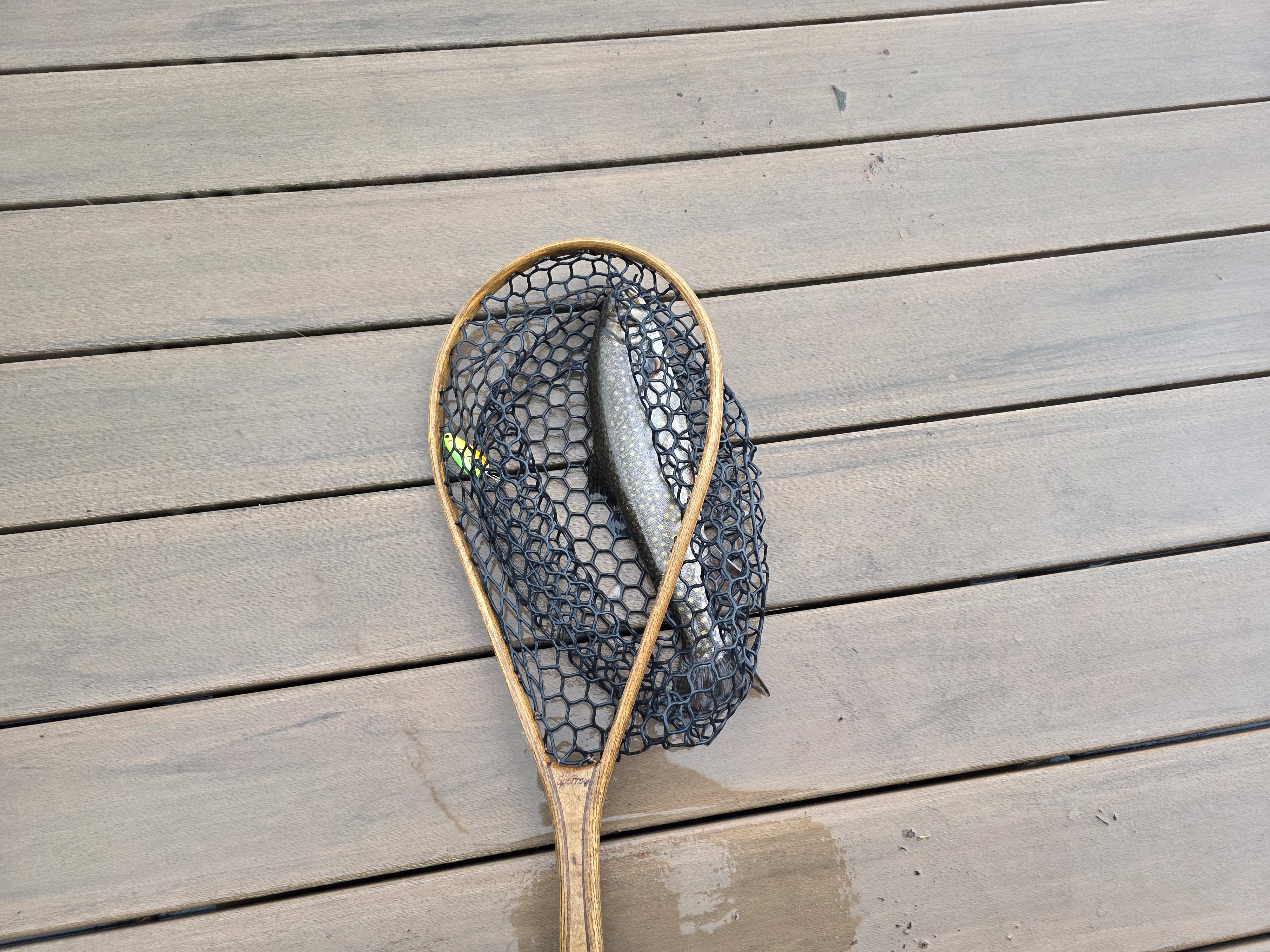 The new spoon and the netted brook trout. The lure produced contact under poor dock conditions.