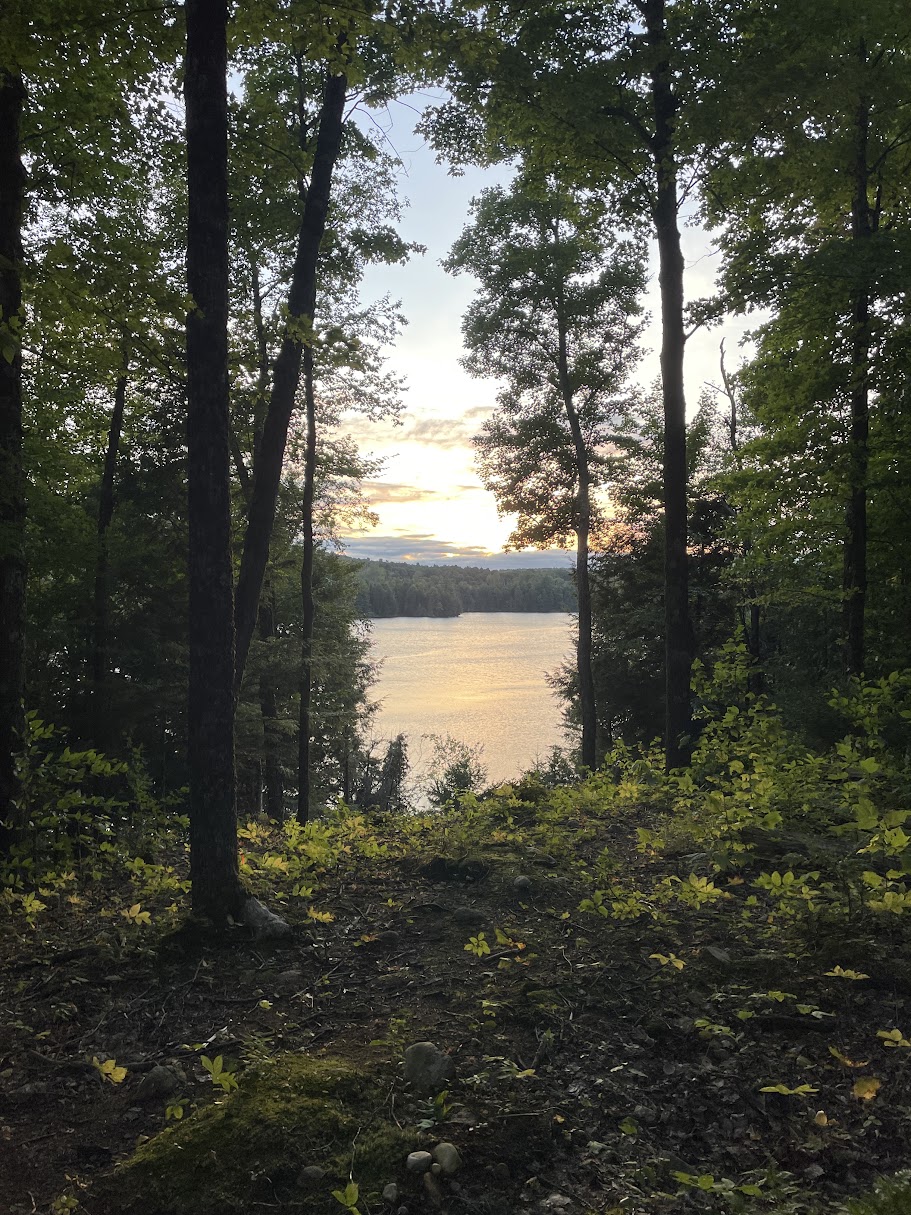 Eastern shore of Great Lot 119