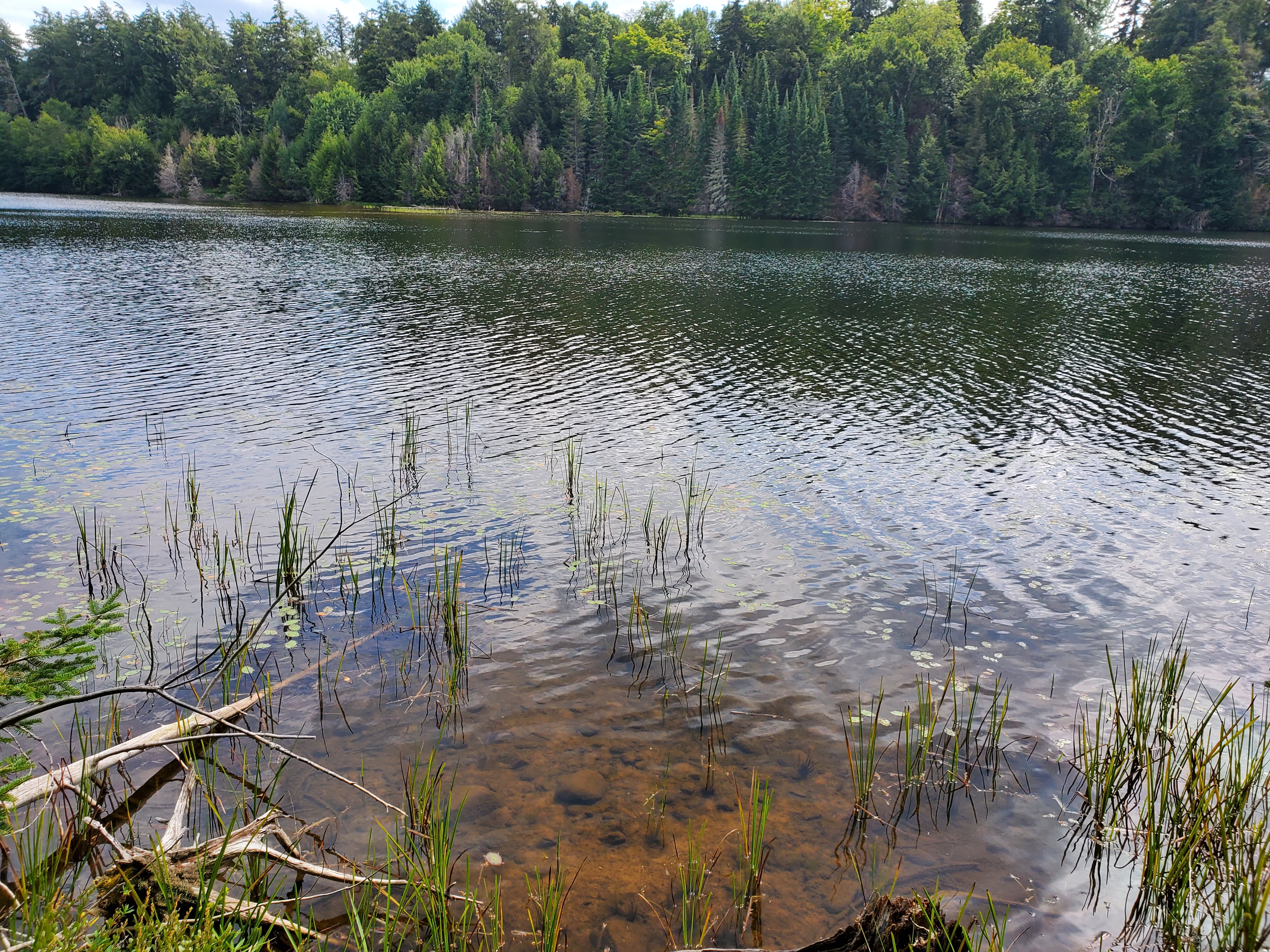 Clear water reclamation