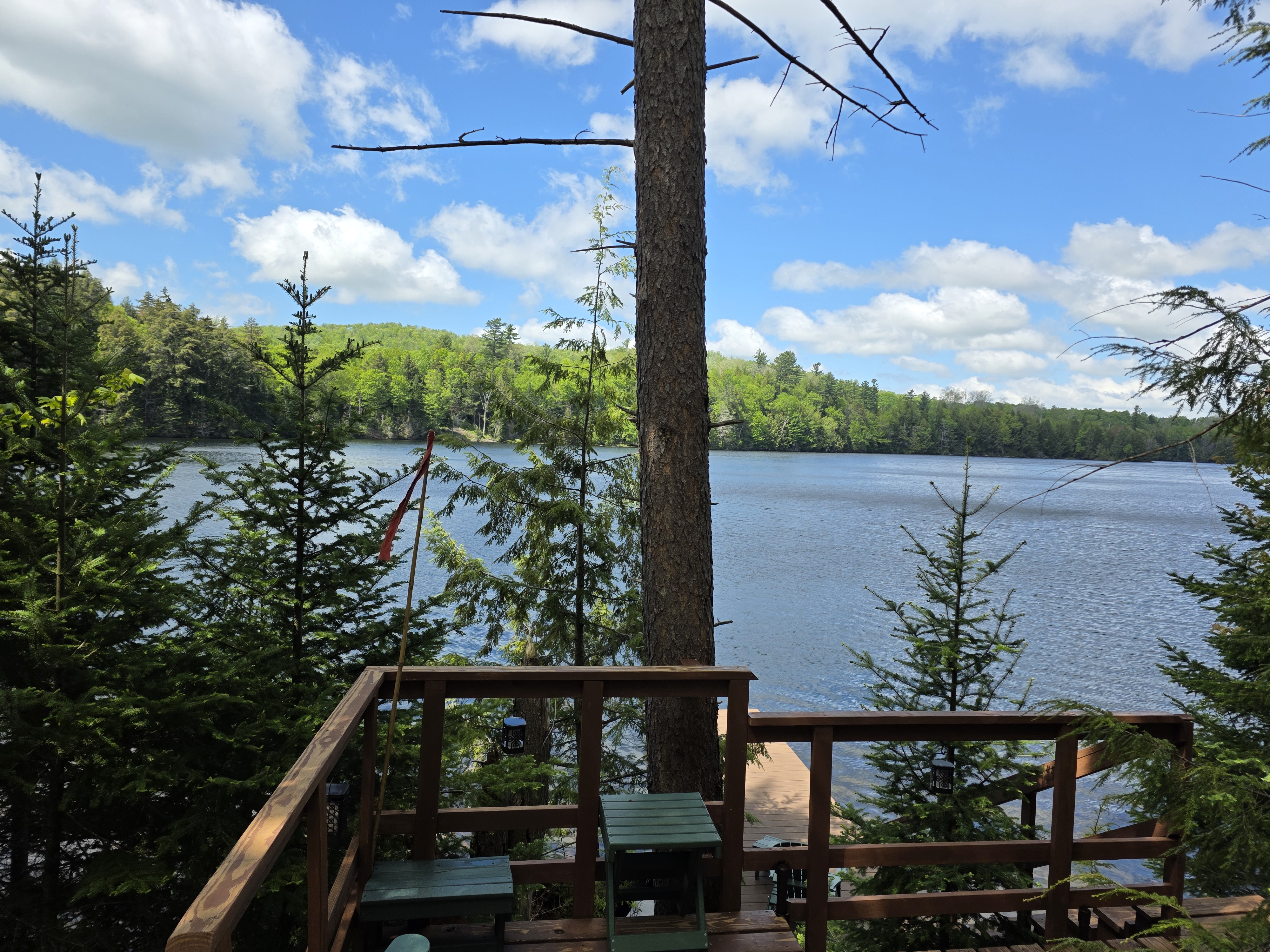 The dock and pond water at the place