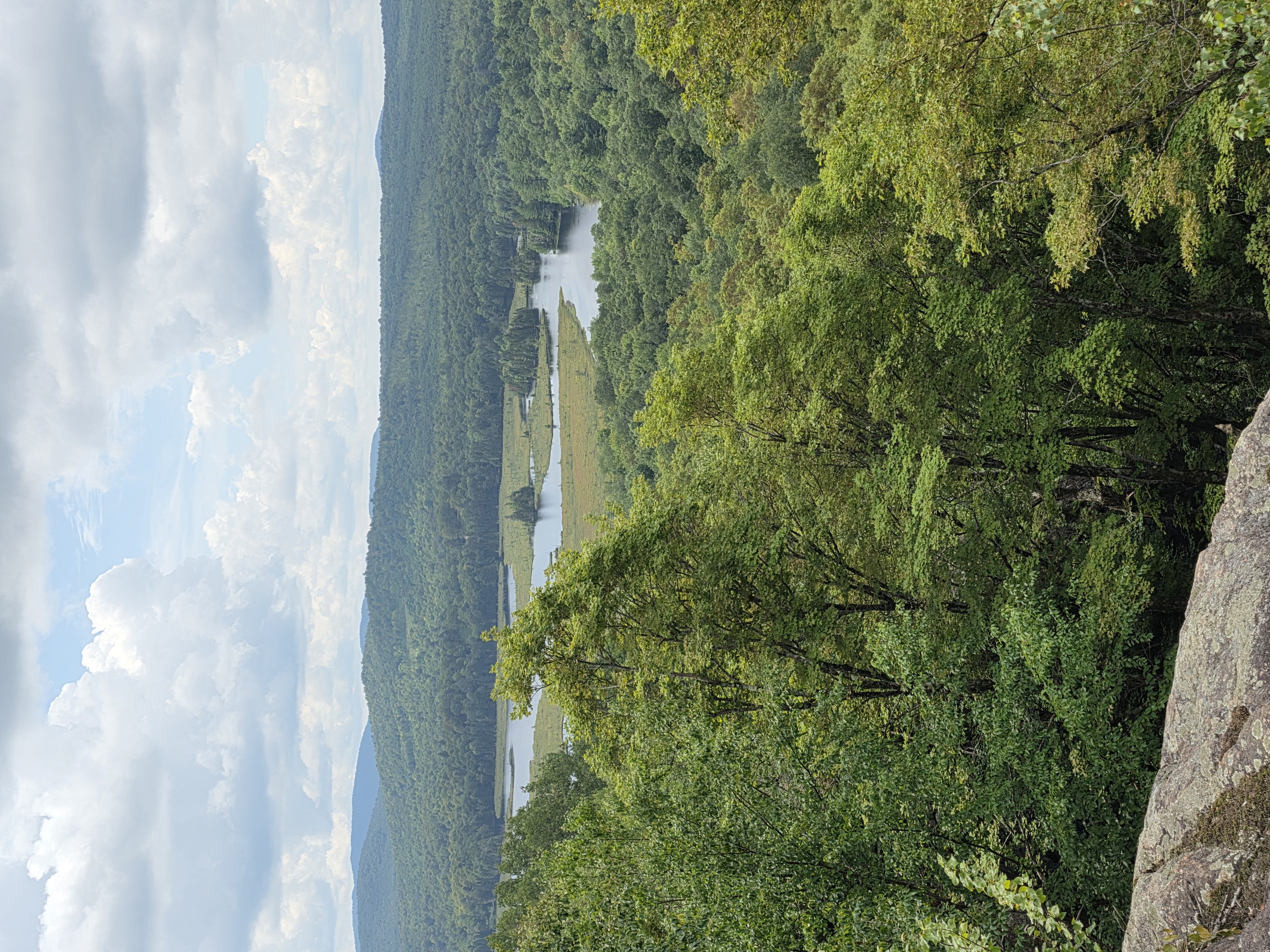 View south from Limekiln Mountain across the outlet fen toward Twin Ponds and Spring Pond