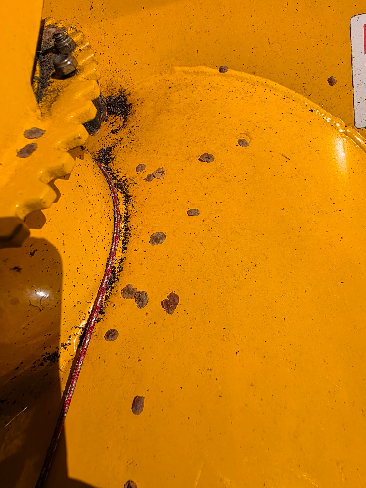 Small maple leafcutter cases scattered across the yellow snowblower housing