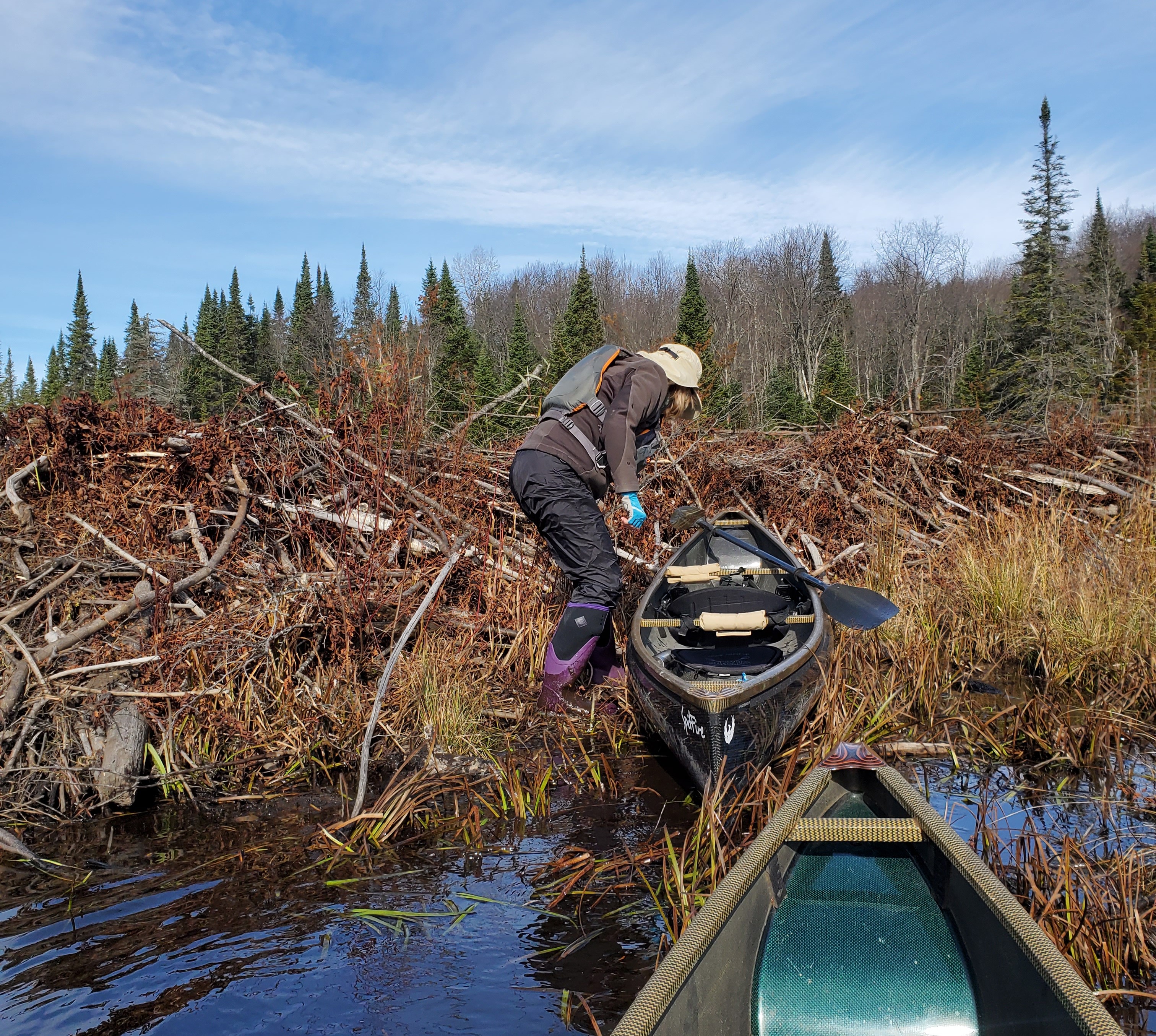Pulling the canoe over a beaver dam