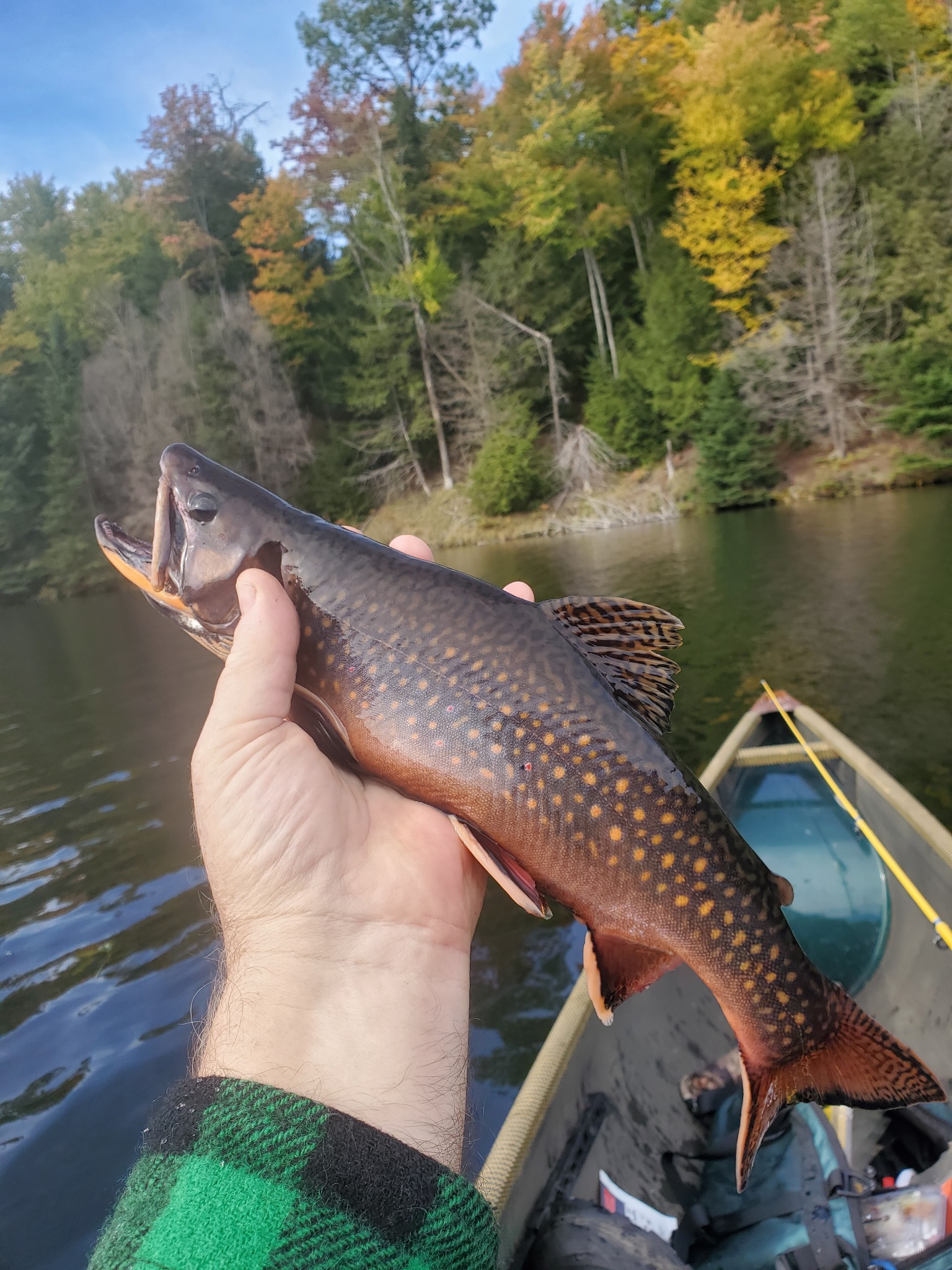 Large fall-colored brook trout held above a canoe on Twin Ponds