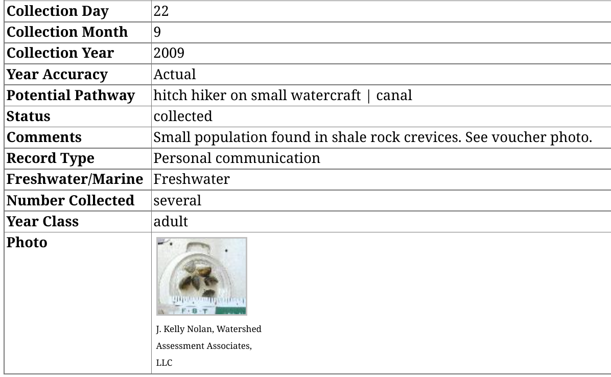 USGS NAS record detail for zebra mussels collected in the Batten Kill at Shushan